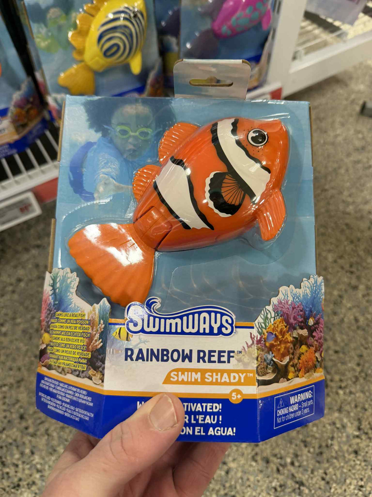 Rainbow Reef Fish
