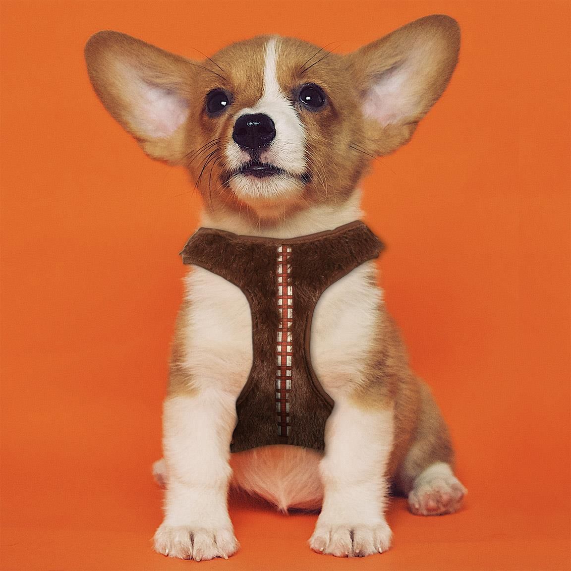Star Wars - Hundesele - Chewbacca