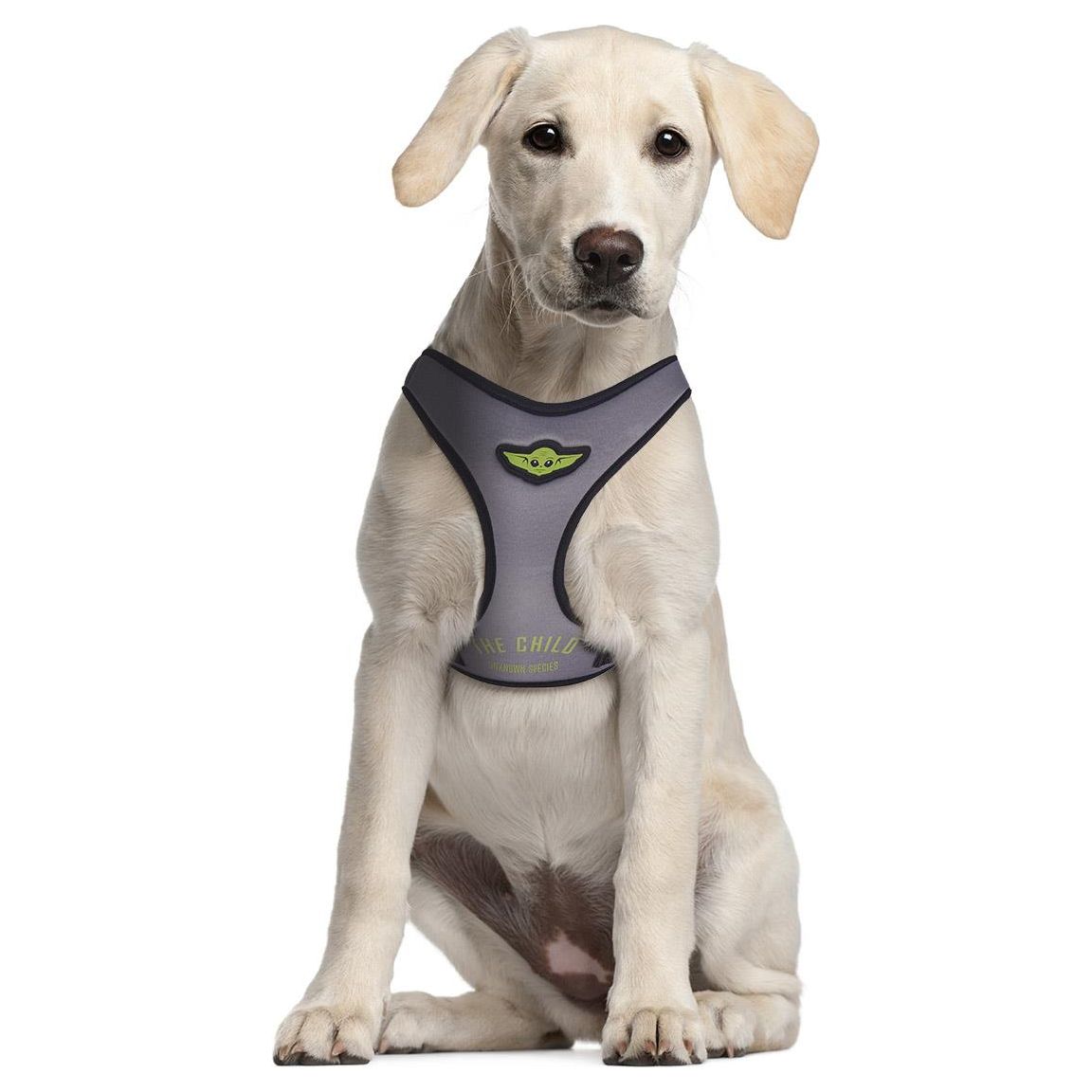 Mandalorian - Hundesele