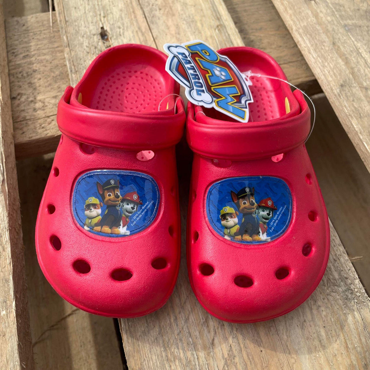 Paw Patrol “Glogs” 22-35