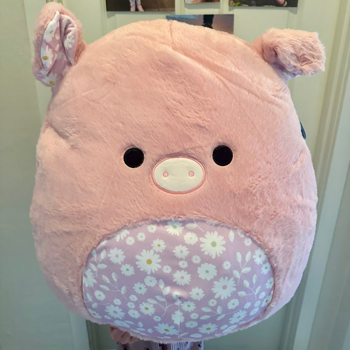 Squishmallows 50 cm Fuzz A Mallows Peter Gris