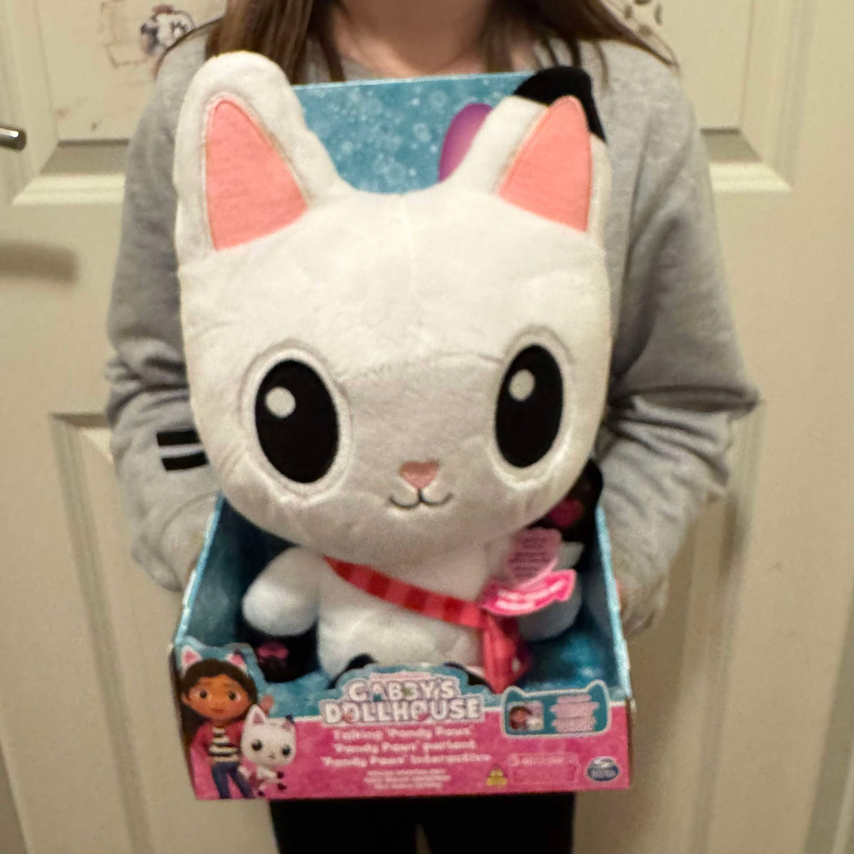 Gabbys dukkehus Talende Pandy Paws 33 cm