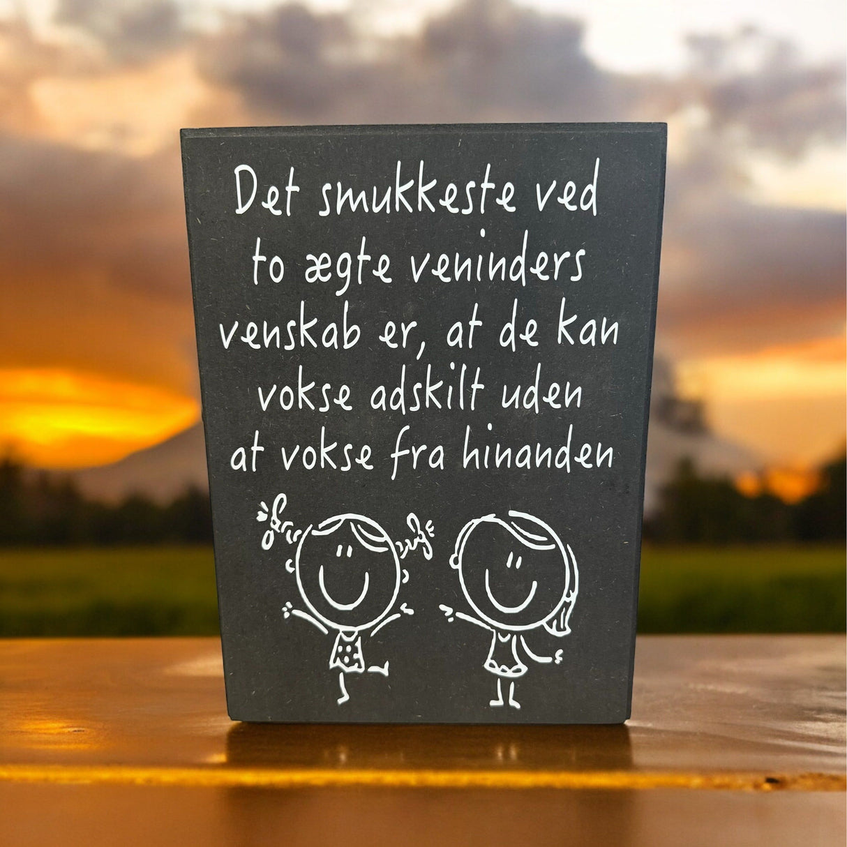 Bedste veninder skilt 30x21 cm