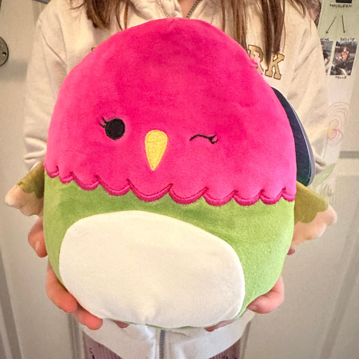 Squishmallows Na'Ima the Hummingbird 19cm