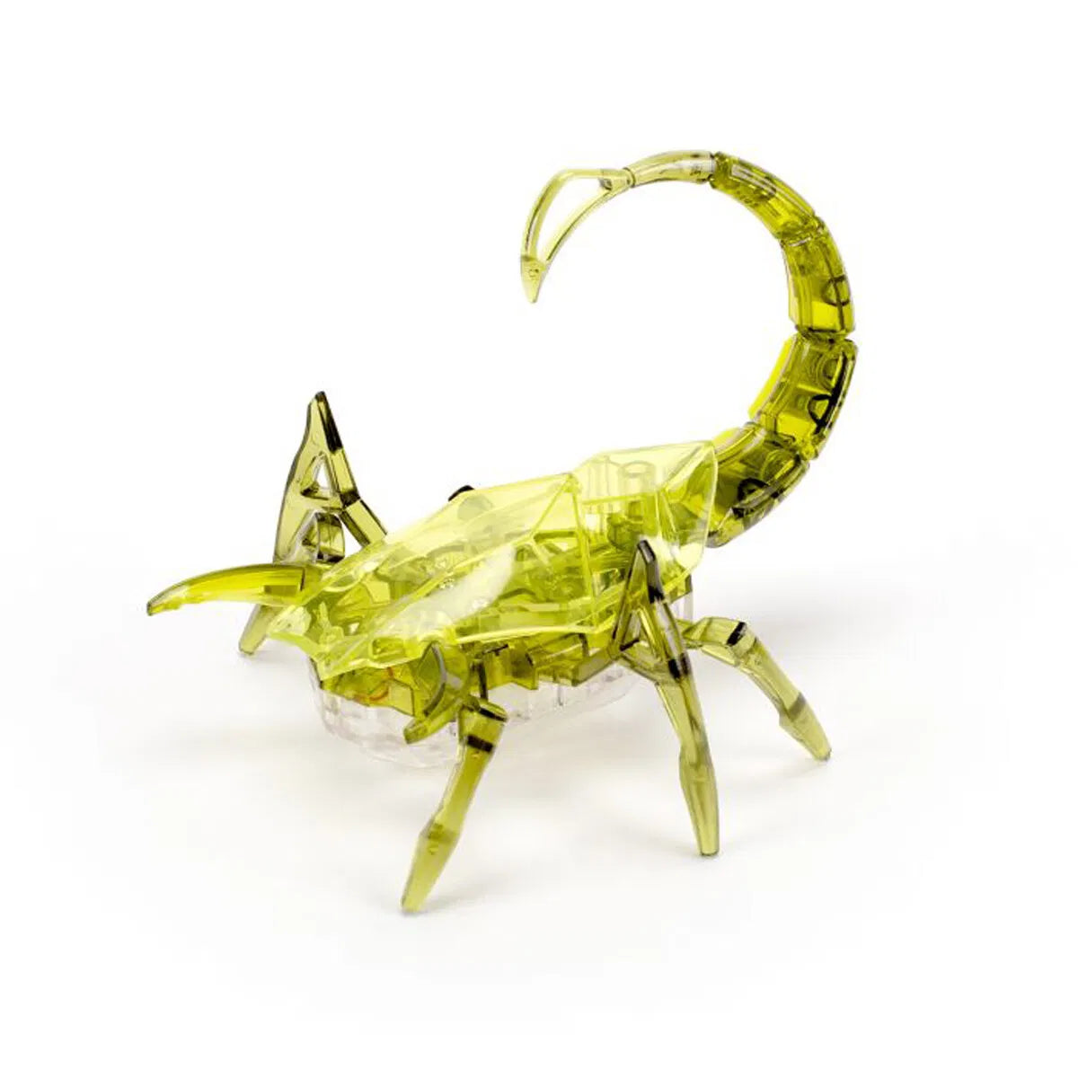 Hexbug scorpion