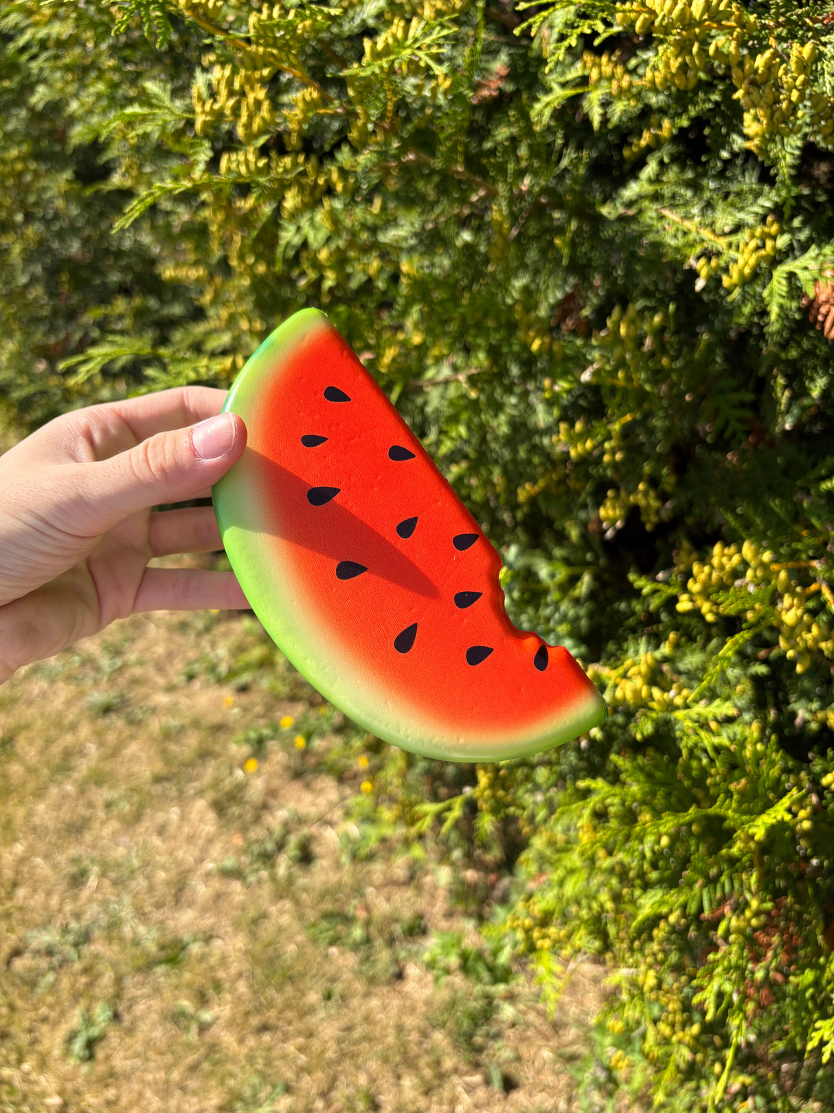 Squishy XL Vandmelon slowrise