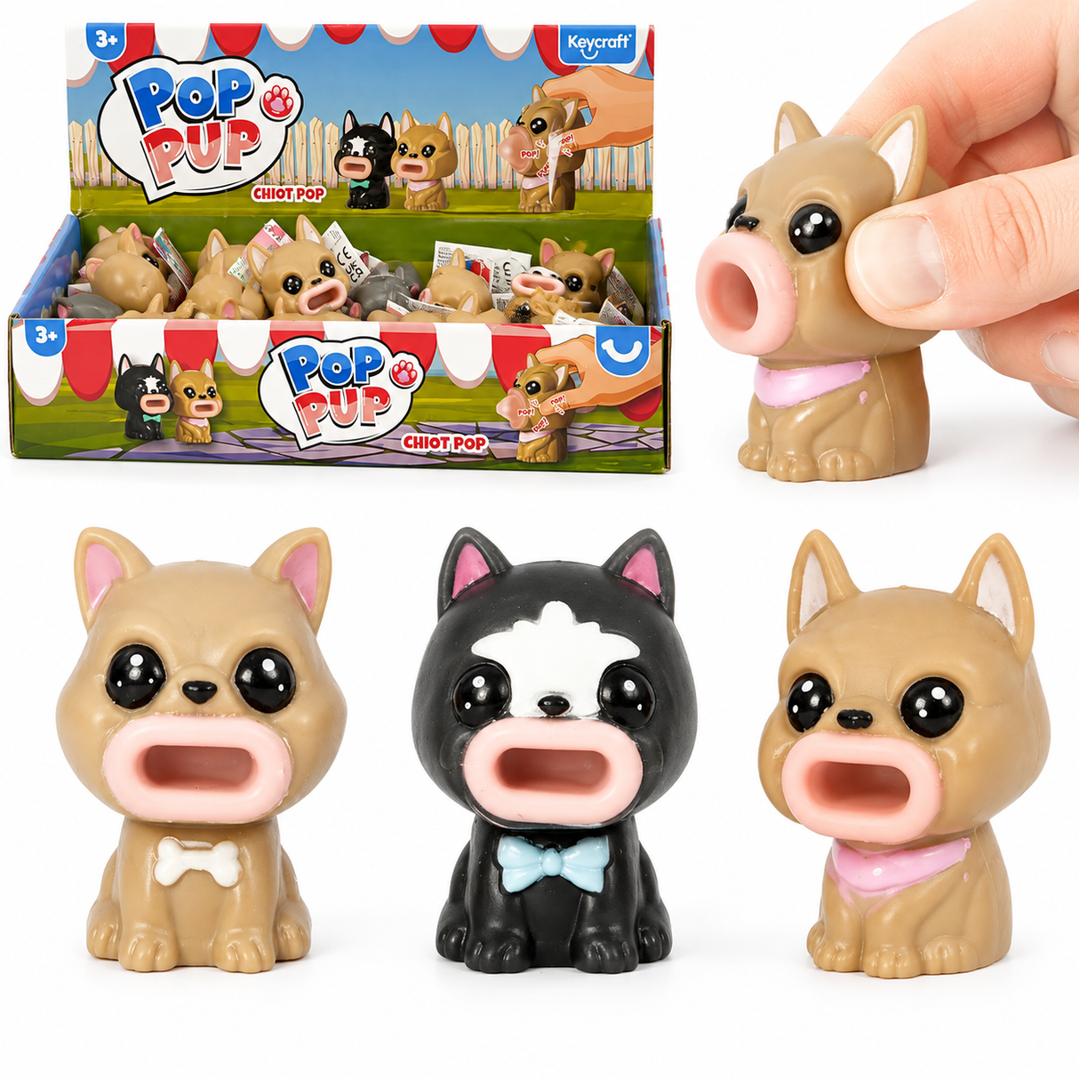 Fidget dog pop squuze