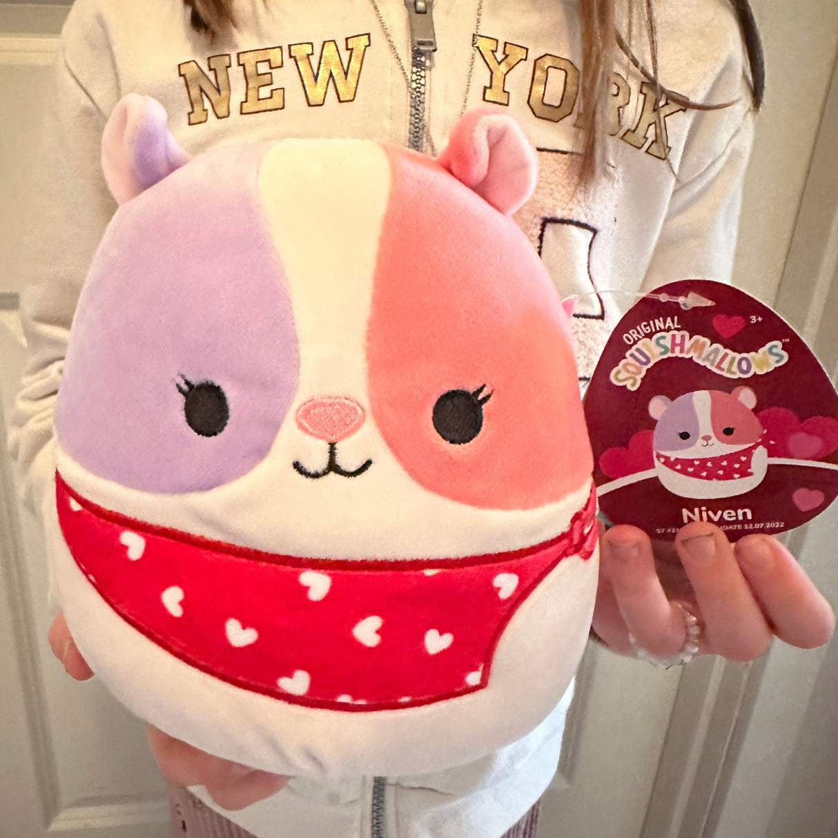 Squishmallows Niven The Guine Pig 19cm