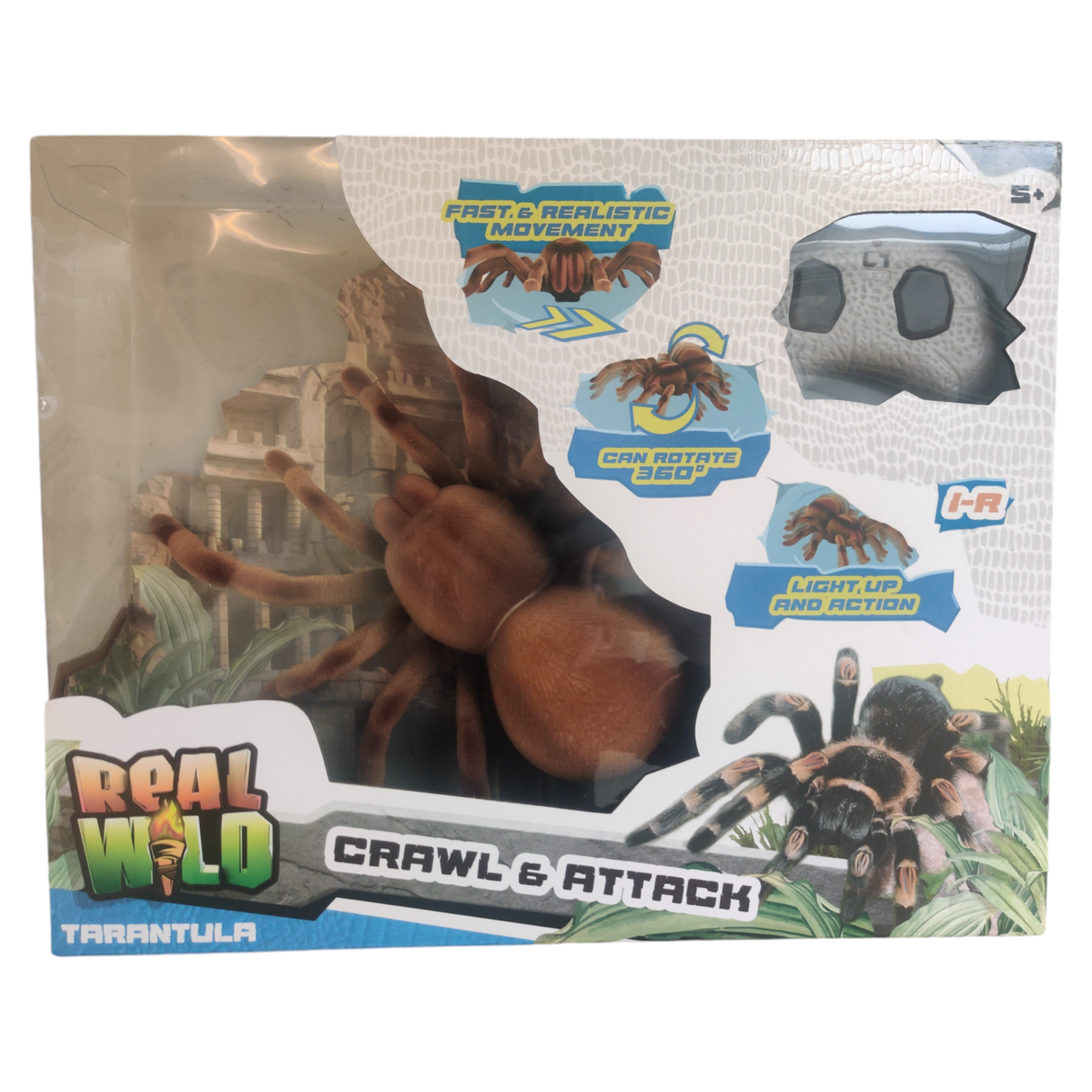 Real Wild - Crawl Attack Edderkop