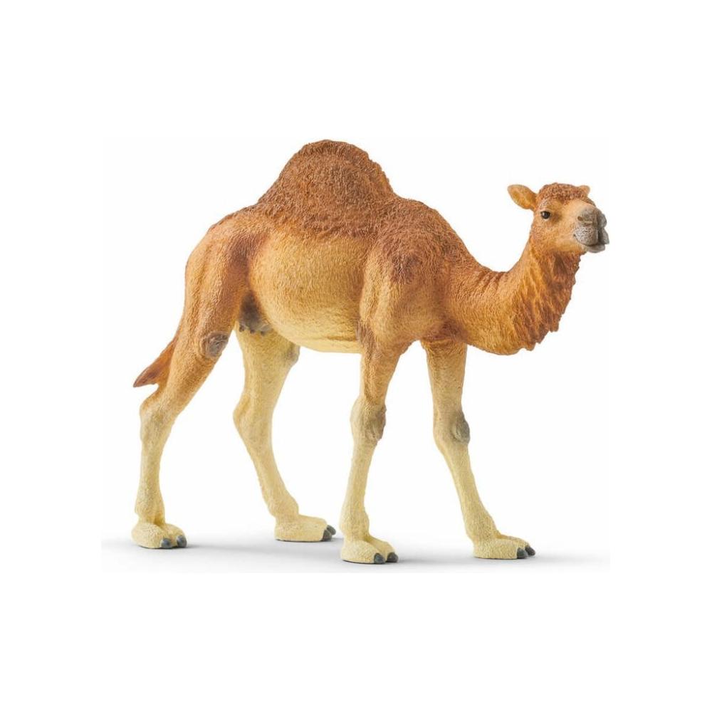 Schleich Dromedar