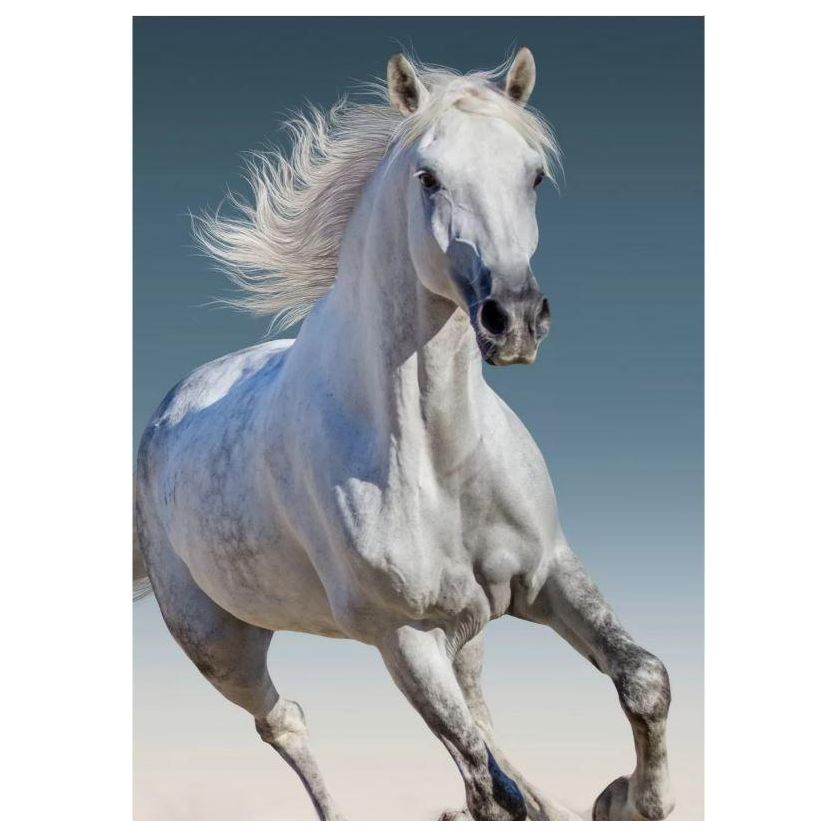 Blødt Fleecetæppe Hest