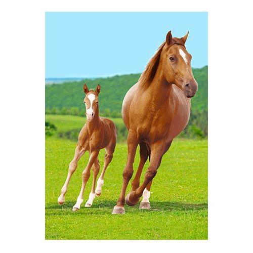 Blødt Fleecetæppe - Hest Med Føl