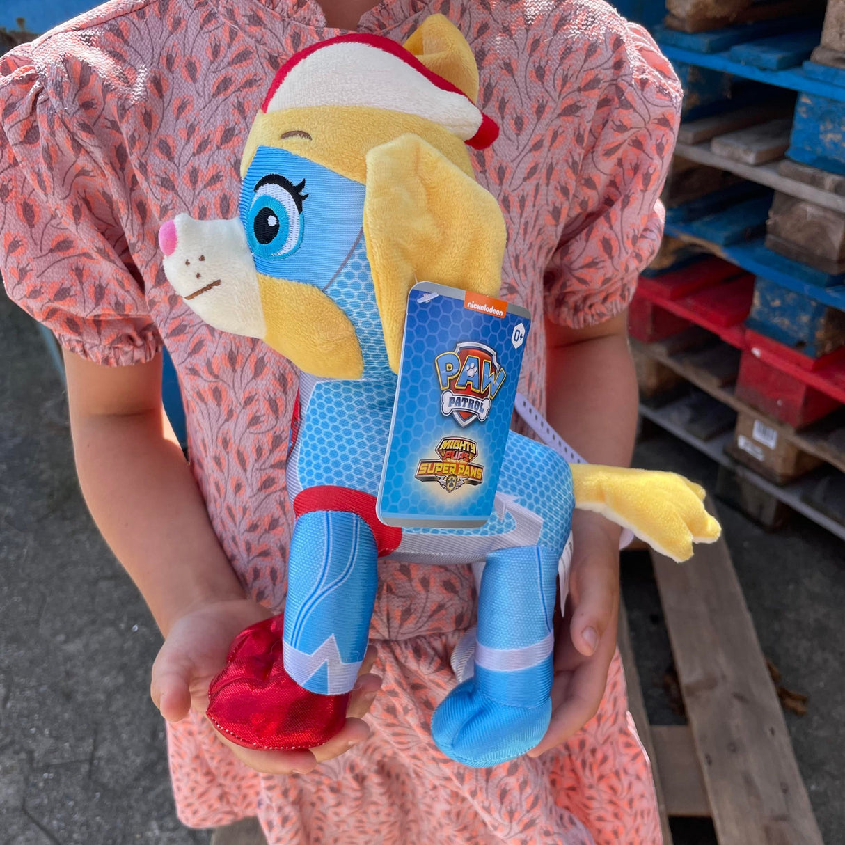 Paw Patrol - Twingirl bamse