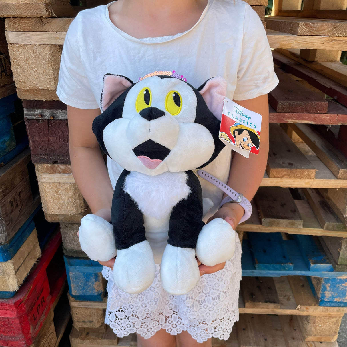 Katten Figaro Bamse