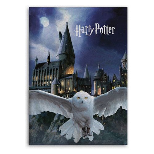 Harry Potter fleecetæppe 100x150 cm