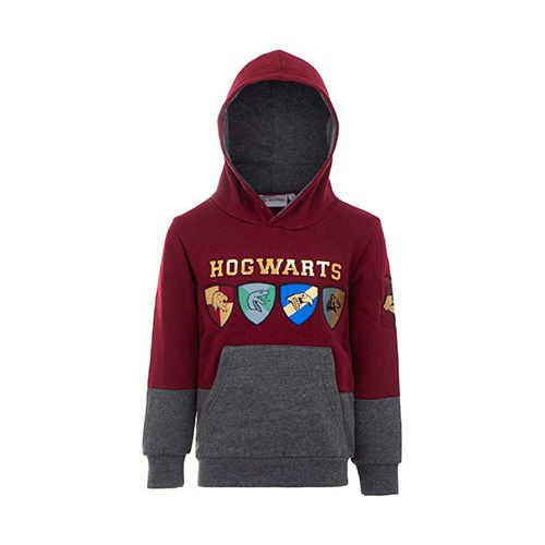 Harry Potter hættetrøje