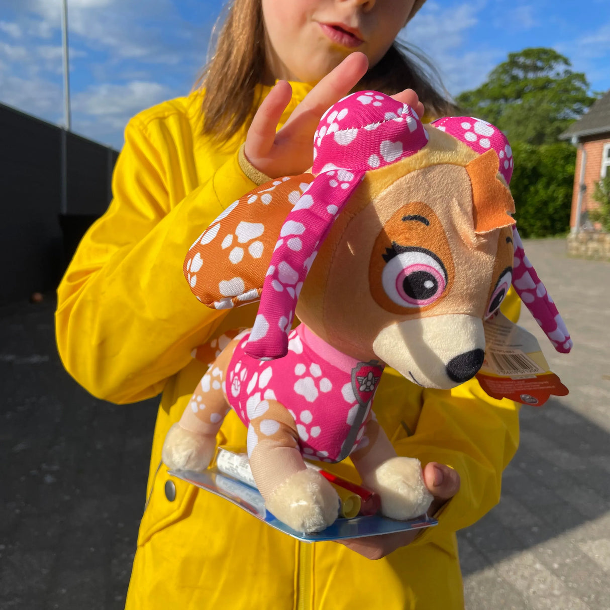 Paw patrol doodle pup - Chase/Skye/Marshall