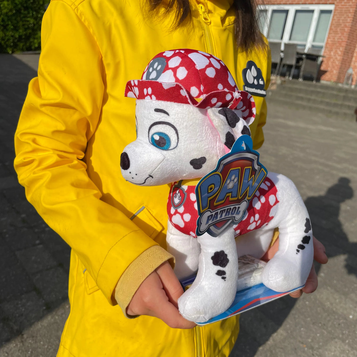 Paw patrol doodle pup - Chase/Skye/Marshall