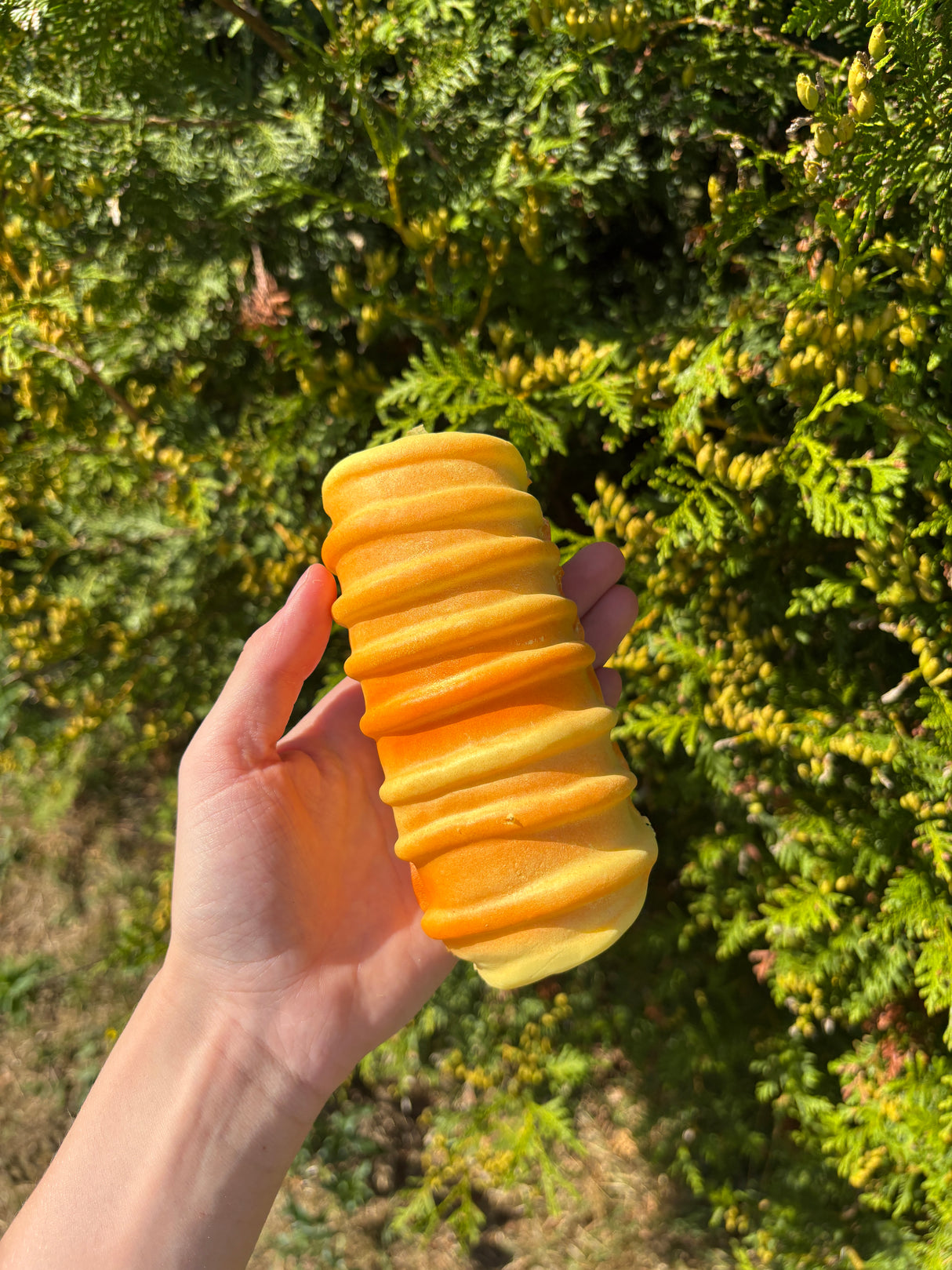 Squishy slowrise twistet brød