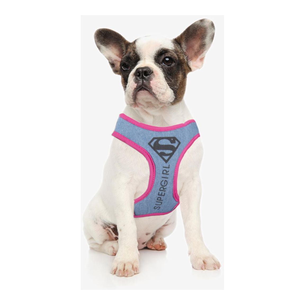 Superman - Hundesele