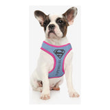 Superman - Hundesele