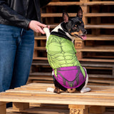 Hulk - Hunde Sweater