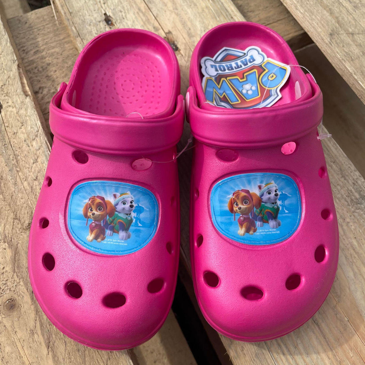 Paw Patrol Skye “Glogs” 22-35