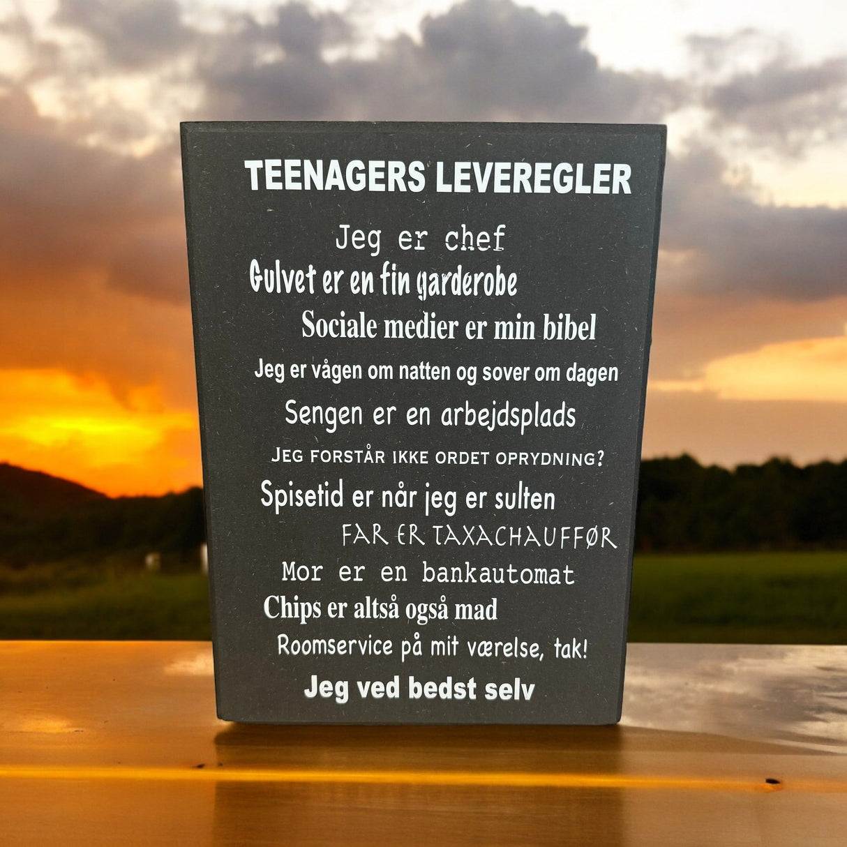 Teenage regler skilt 30x21 cm