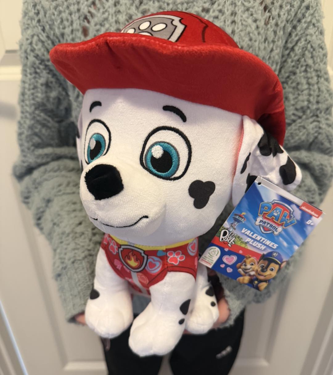 Paw Patrol valentine bamse Marshall