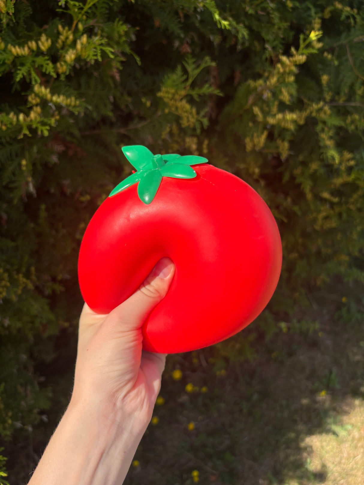 XXL Squishy tomat