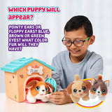 Little Live pets - My Puppys home interaktivt kæledyr