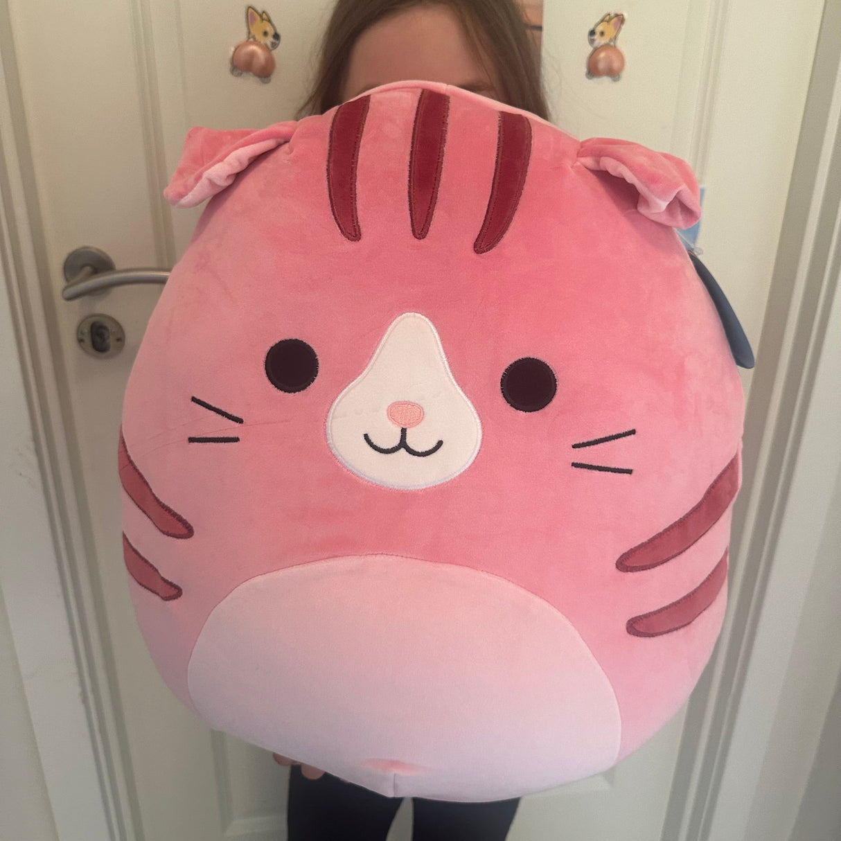 Squishmallows 40 cm P16 Geraldine Cat
