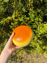 XL Squishy bolle