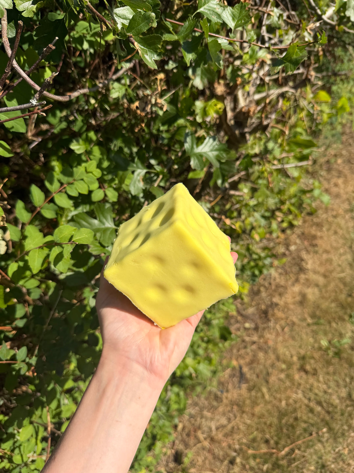 Squishy slowrise cheese 8x8 cm
