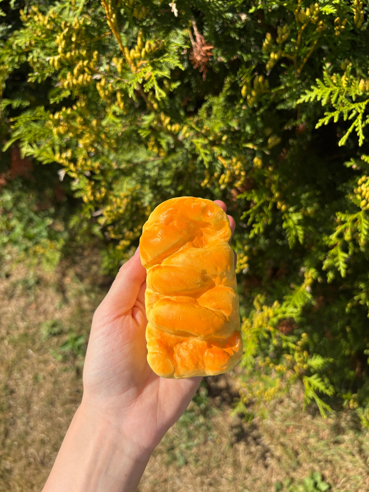 Squishy slowrise morgenbrød