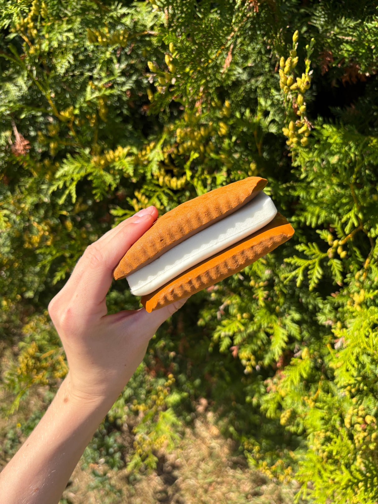 Squishy slowrise cookie sandwich