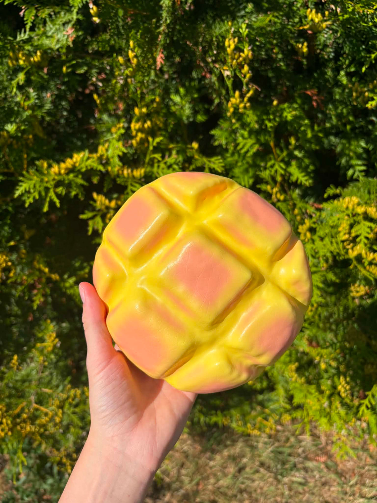 XXL Slow rise bagerbolle
