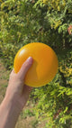 Squishy the-bolle slowrise