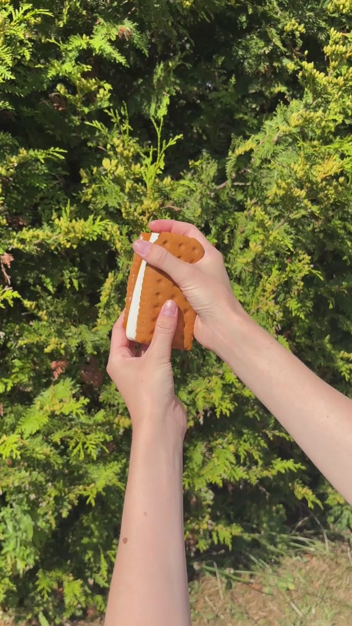 Squishy slowrise cookie sandwich