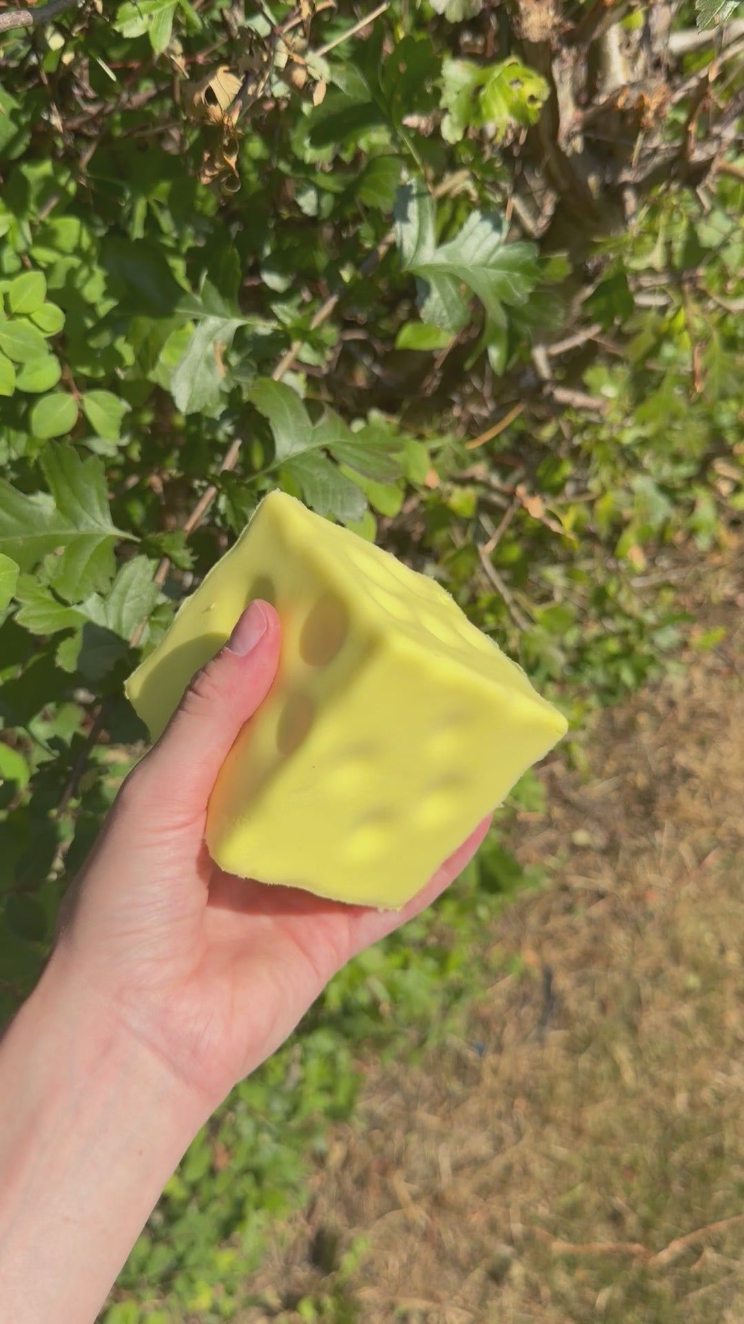 Squishy slowrise cheese 8x8 cm
