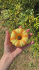 Squishy slowrise Donut brød