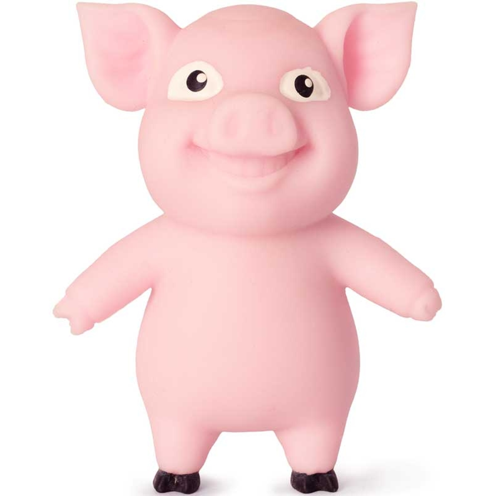 Stretch 'N Smash Mini Pig