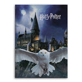 Harry Potter fleecetæppe 100x150 cm